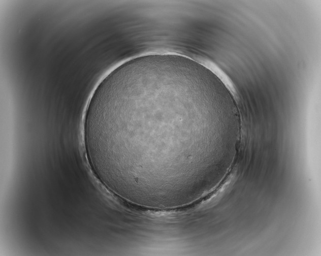 X0000095121004200712211306