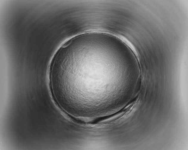 X0000095121005200712211306