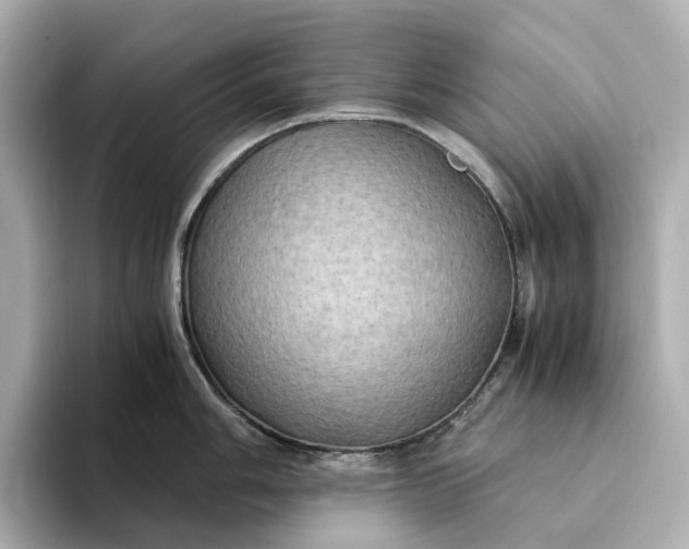 X0000095121006200712211306