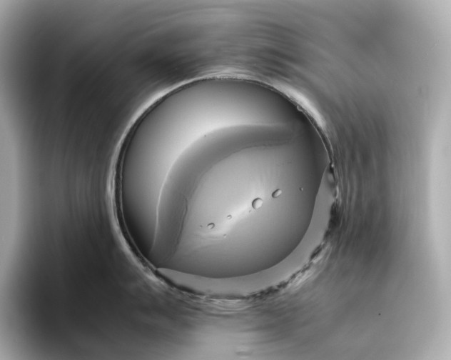 X0000095121007200712211306