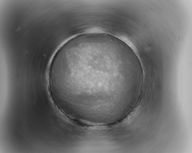 X0000095121008200712211306