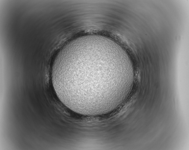 X0000095121012200712211305