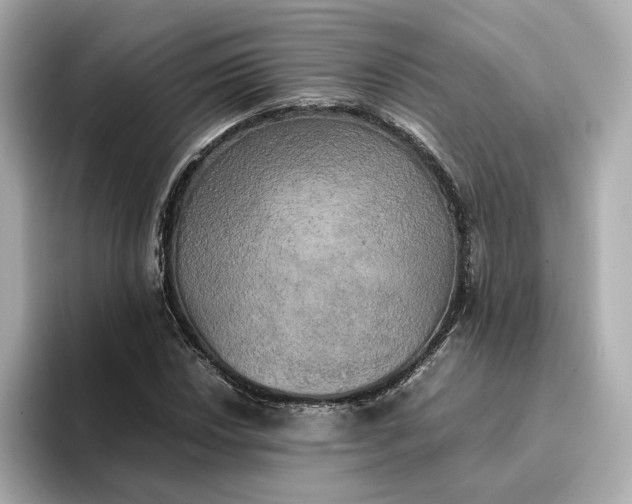 X0000095121018200712211305