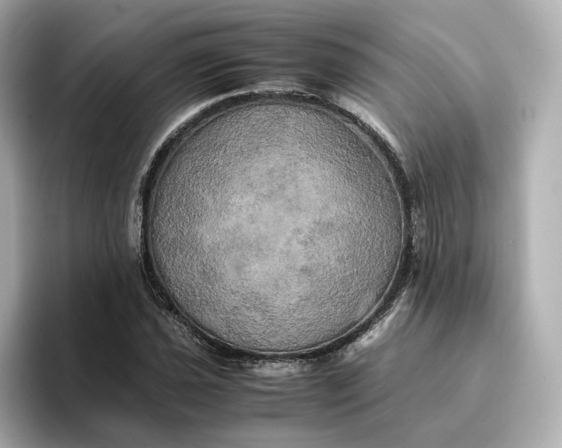 X0000095121021200712211305