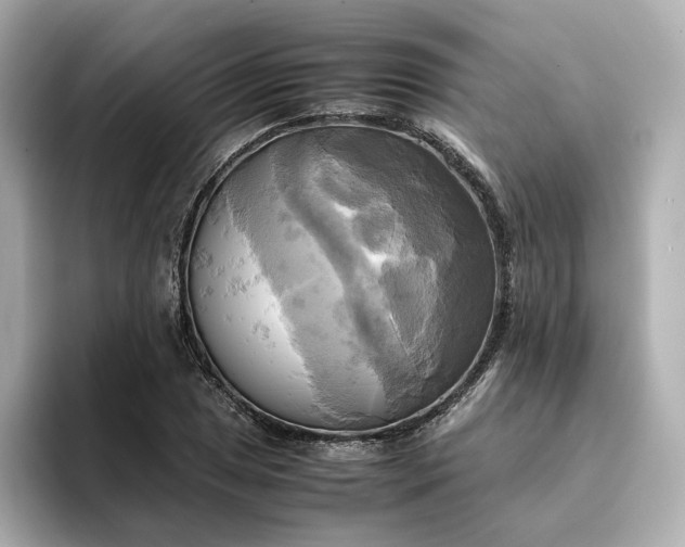 X0000095121025200712211305