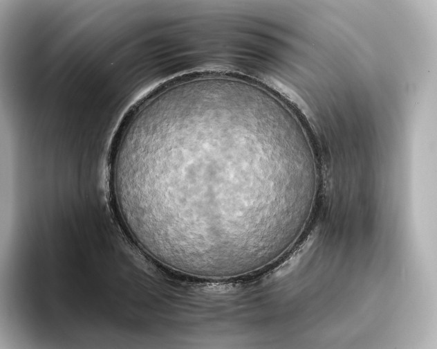 X0000095121029200712211305