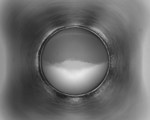 X0000095121031200712211305