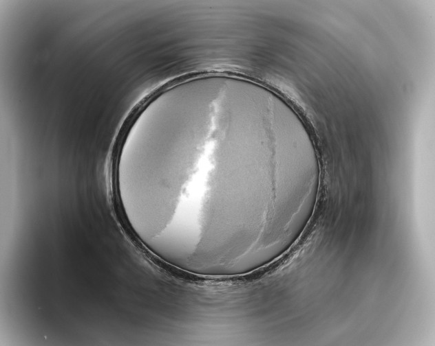 X0000095121032200712211305