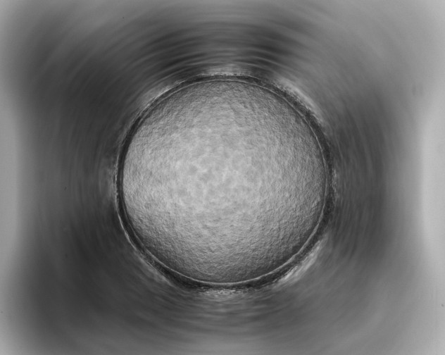 X0000095121033200712211305