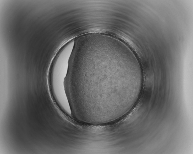 X0000095121034200712211305