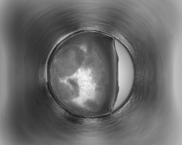 X0000095121036200712211305