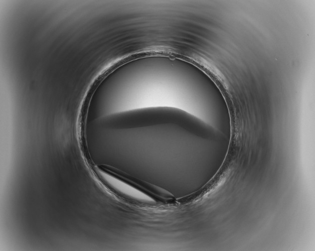 X0000095121037200712211305