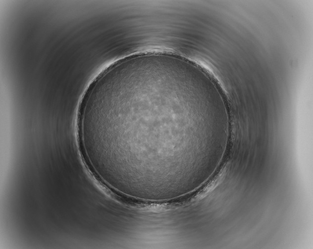 X0000095121038200712211305