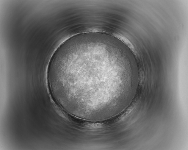 X0000095121039200712211305