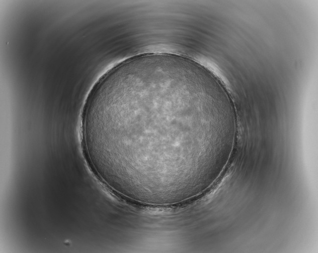 X0000095121040200712211306