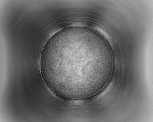 X0000095121041200712211306