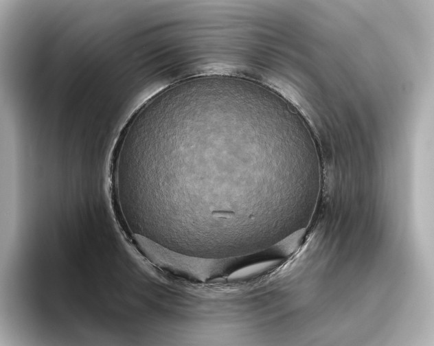 X0000095121042200712211306