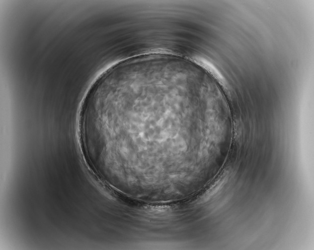 X0000095121043200712211306