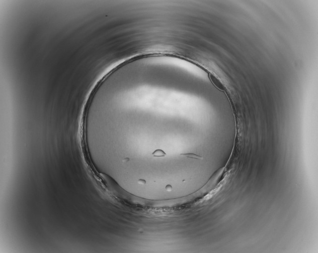 X0000095121044200712211306