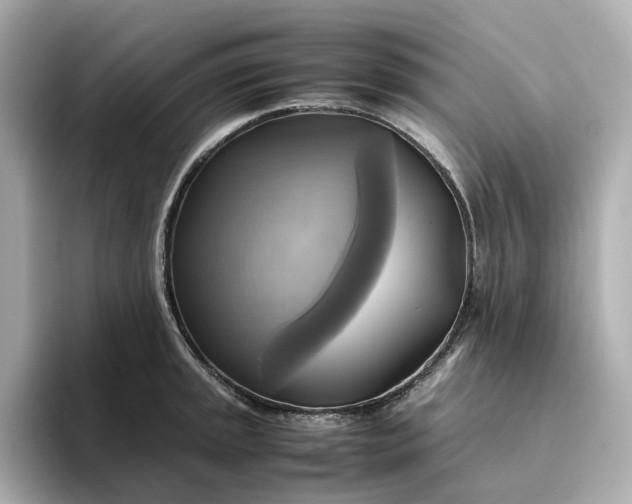 X0000095121045200712211306