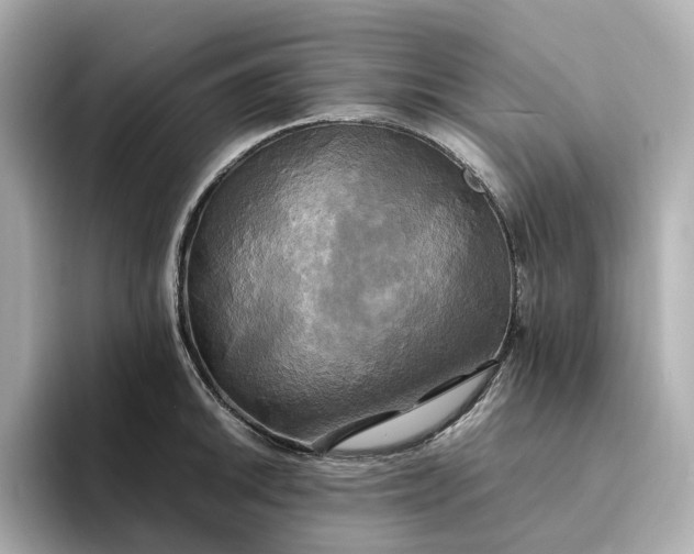 X0000095121046200712211306