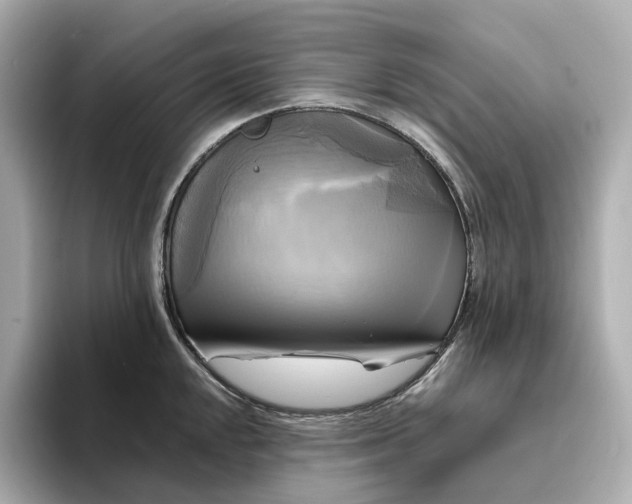 X0000095121048200712211306