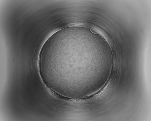 X0000095121050200712211306