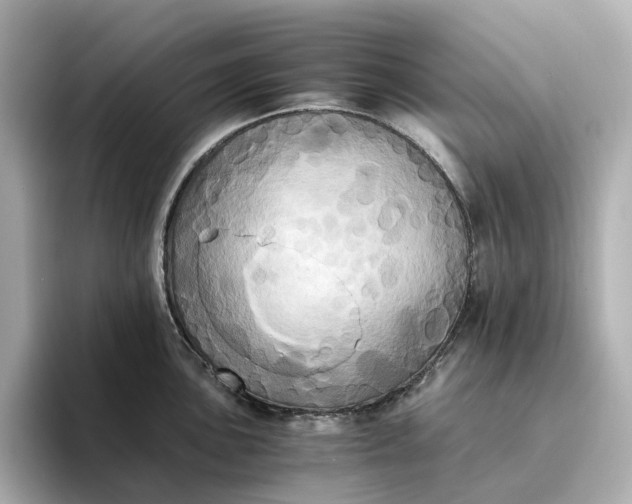 X0000095121051200712211306