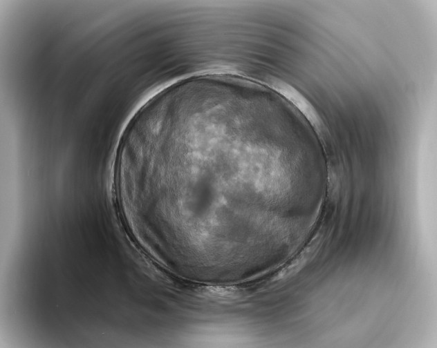 X0000095121052200712211306