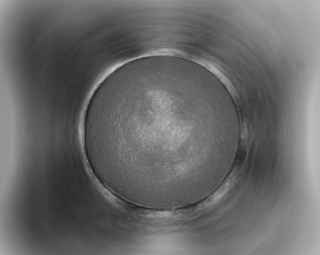 X0000095121054200712211306