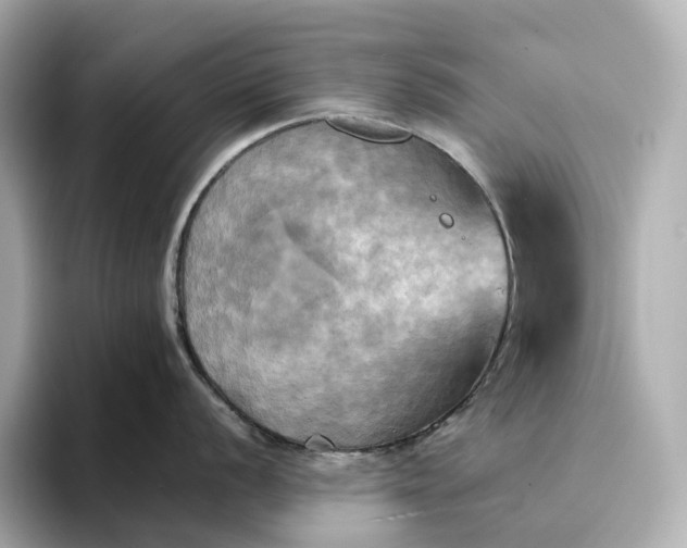 X0000095121056200712211306