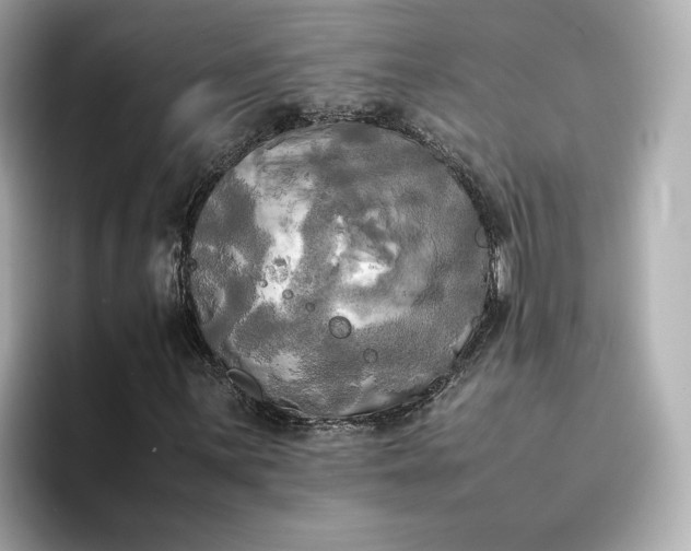 X0000095121059200712211305