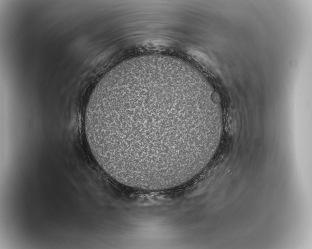 X0000095121061200712211305