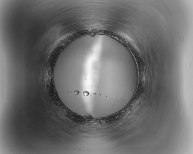 X0000095121063200712211305