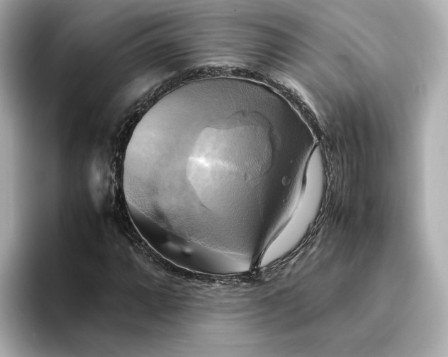 X0000095121064200712211305