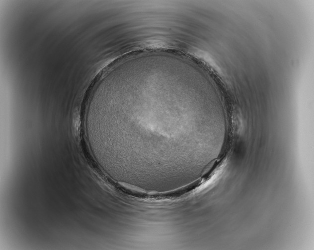 X0000095121065200712211305