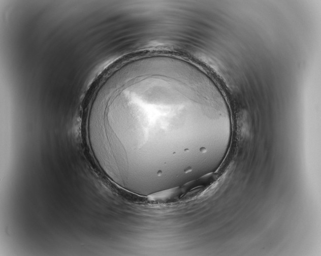 X0000095121066200712211305