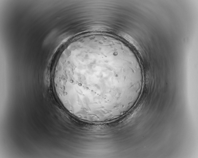 X0000095121067200712211305