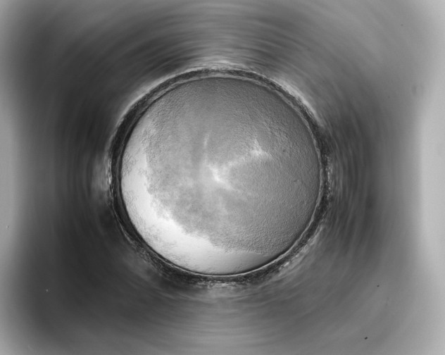 X0000095121070200712211305