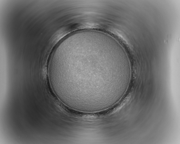 X0000095121073200712211305