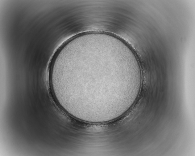 X0000095121078200712211305