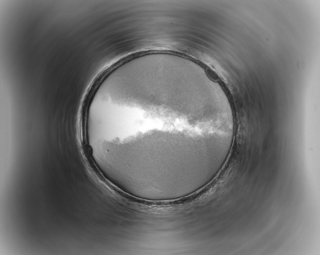 X0000095121080200712211305