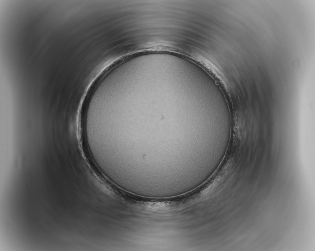 X0000095121082200712211305