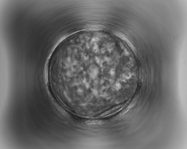 X0000095121083200712211305