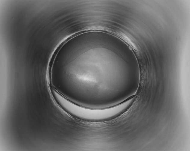 X0000095121084200712211305