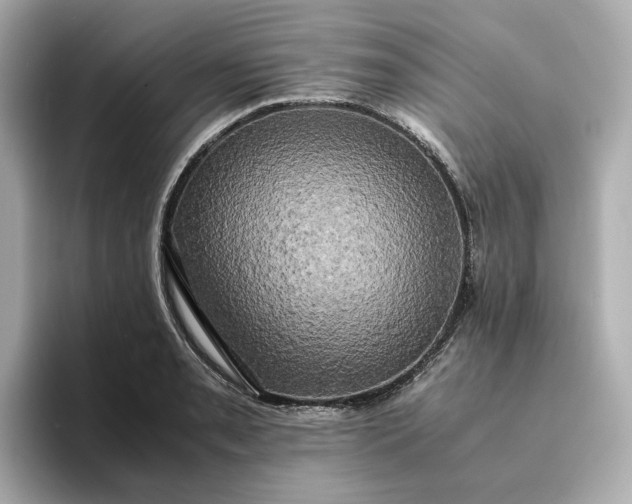 X0000095121085200712211305