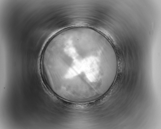 X0000095121086200712211305