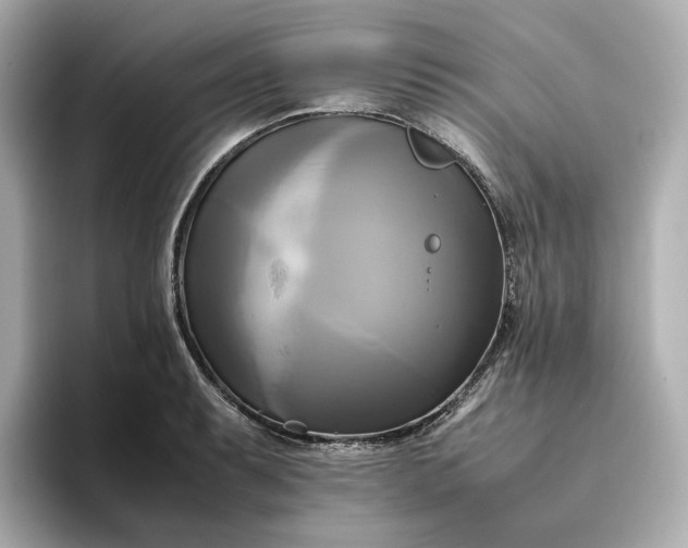 X0000095121087200712211305