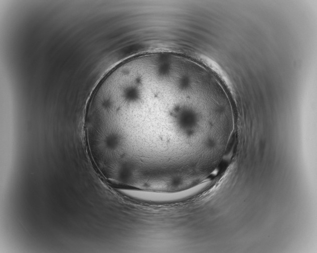 X0000095121089200712211305