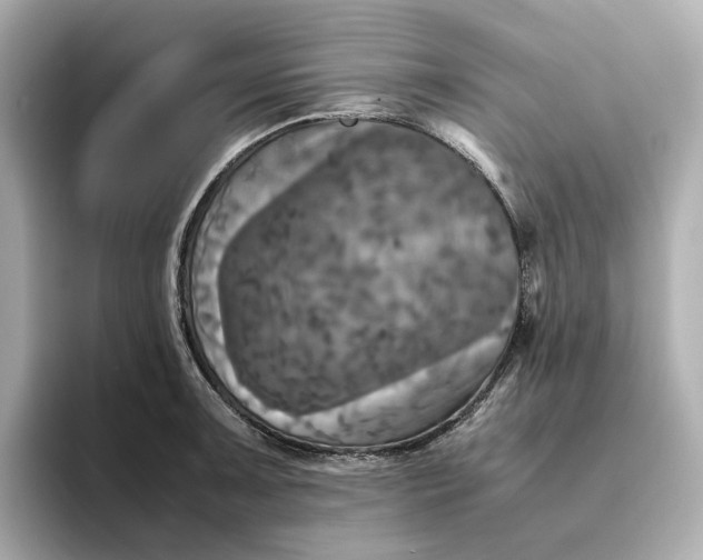 X0000095121091200712211305